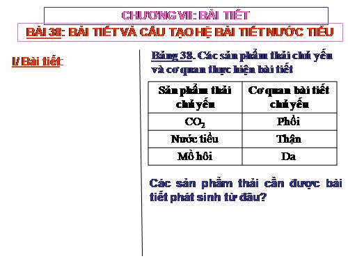 Bài 38. Bài tiết và cấu tạo hệ bài tiết nước tiểu