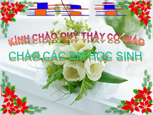 Bài 38. Bài tiết và cấu tạo hệ bài tiết nước tiểu