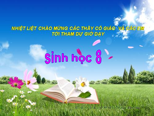 Bài 38. Bài tiết và cấu tạo hệ bài tiết nước tiểu