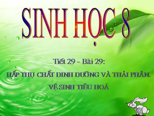 Bài 29. Hấp thụ chất dinh dưỡng và thải phân