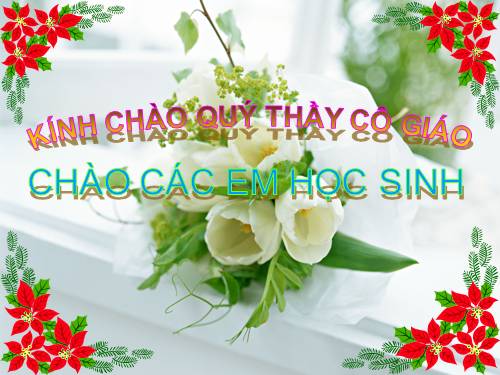 Bài 29. Hấp thụ chất dinh dưỡng và thải phân