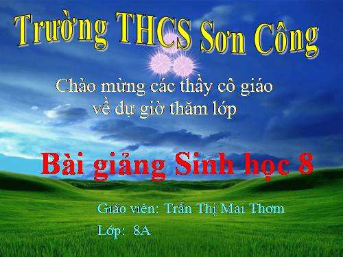 Bài 31. Trao đổi chất