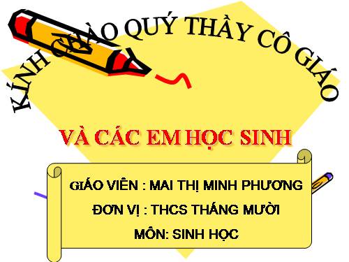 Bài 8. Cấu tạo và tính chất của xương