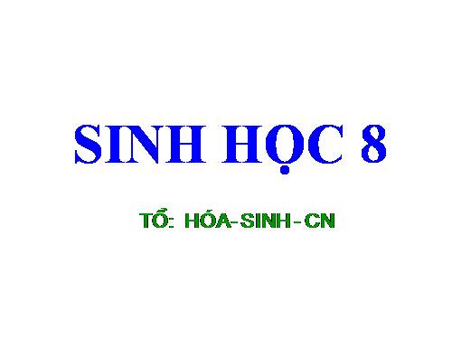 Bài 22. Vệ sinh hô hấp