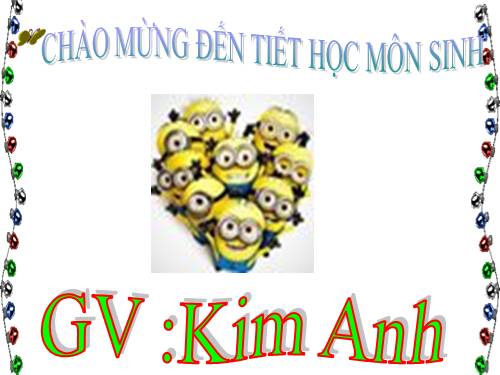 Bài 22. Vệ sinh hô hấp