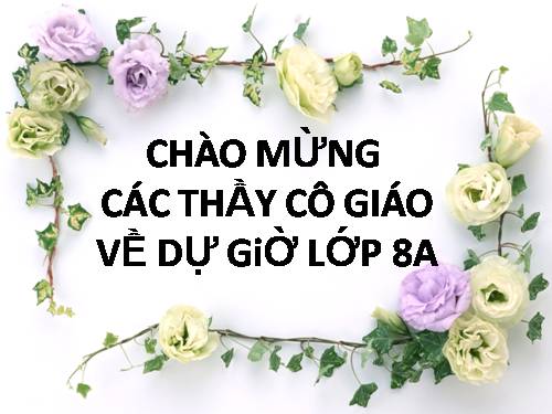 Bài 51. Cơ quan phân tích thính giác