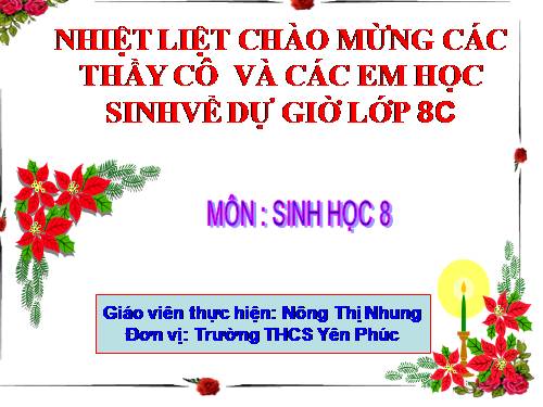 Bài 17. Tim và mạch máu