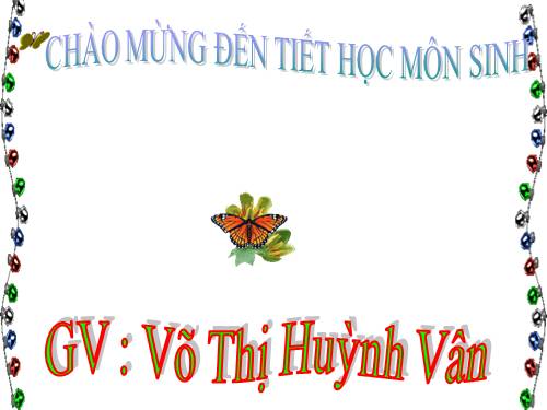 Bài 22. Vệ sinh hô hấp