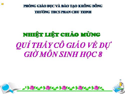 Bài 28. Tiêu hóa ở ruột non