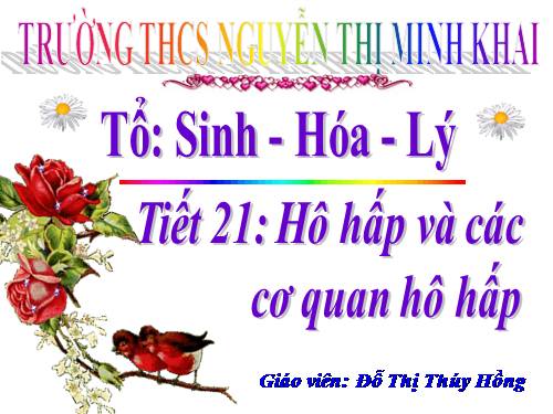 Bài 20. Hô hấp và các cơ quan hô hấp