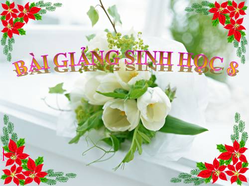 Bài 13. Máu và môi trường trong cơ thể