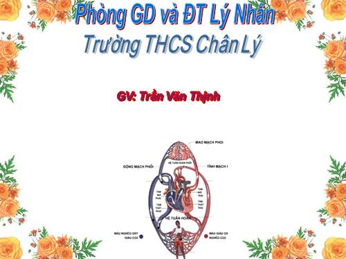 Bài 13. Máu và môi trường trong cơ thể