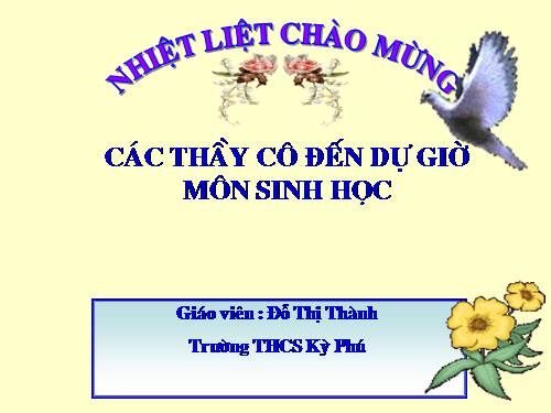 Bài 13. Máu và môi trường trong cơ thể