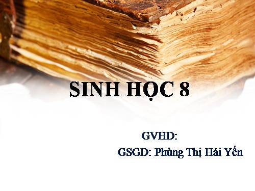 Bài 48. Hệ thần kinh sinh dưỡng