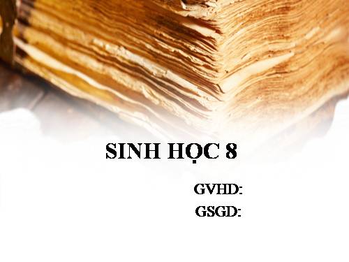 Bài 50 Vệ sinh mắt