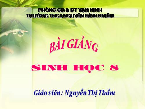 Bài 10. Hoạt động của cơ