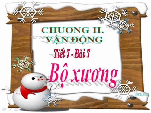 Bài 7. Bộ xương