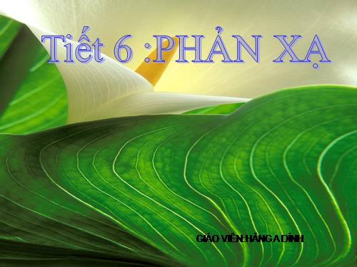Bài 6. Phản xạ