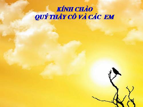 Bài 49. Cơ quan phân tích thị giác