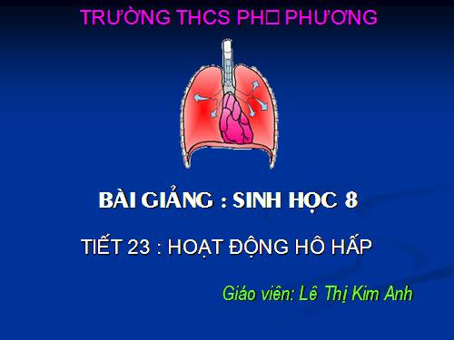 Bài 21. Hoạt động hô hấp