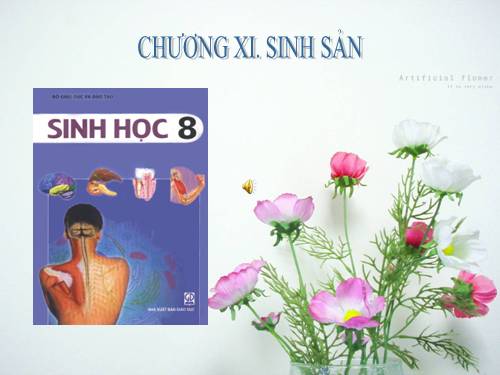 Bài 56. Tuyến yên, tuyến giáp