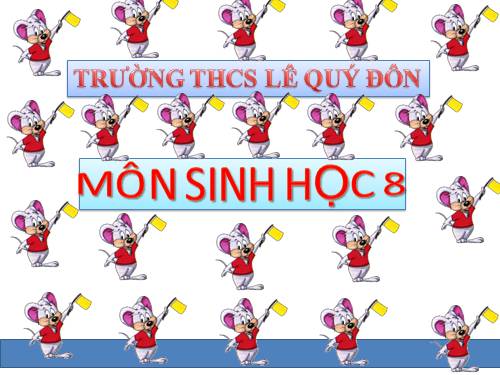 Bài 2. Cấu tạo cơ thể người