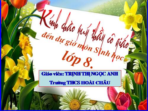 Bài 49. Cơ quan phân tích thị giác