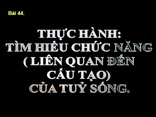 Bài 44. Thực hành: Tìm hiểu về hệ chức năng (liên quan đến cấu tạo) của tủy sống