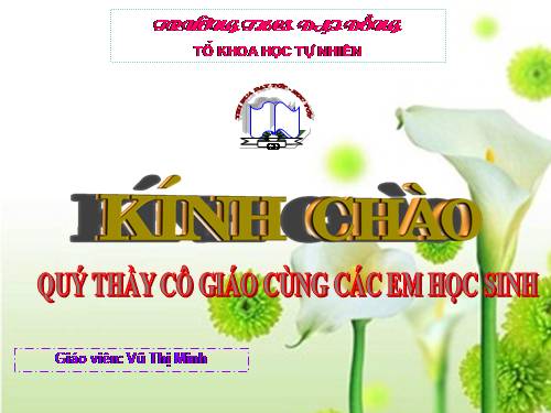 Bài 61. Cơ quan sinh dục nữ