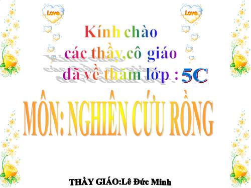 Học về rồng