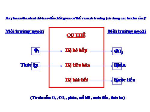 Bài 38. Bài tiết và cấu tạo hệ bài tiết nước tiểu