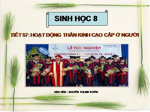 Bài 53. Hoạt động thần kinh cấp cao ở người