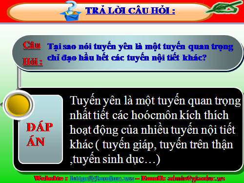 Bài 59. Sự điều hòa và phối hợp hoạt động của các tuyến nội tiết