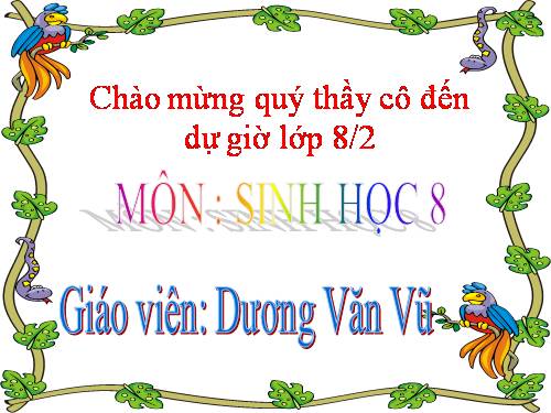 Bài 22. Vệ sinh hô hấp