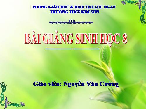 Bài 20. Hô hấp và các cơ quan hô hấp