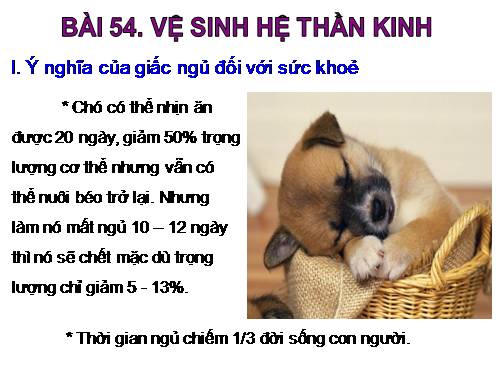 Bài 54. Vệ sinh hệ thần kinh