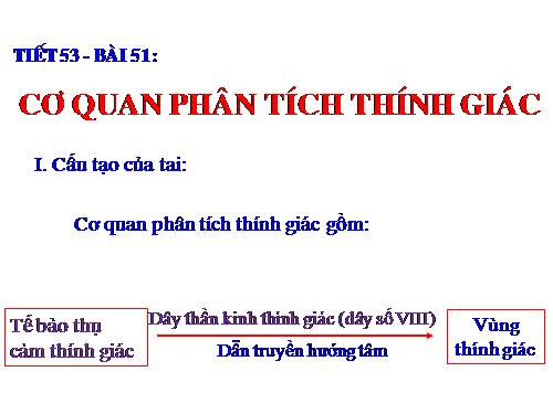 Bài 51. Cơ quan phân tích thính giác