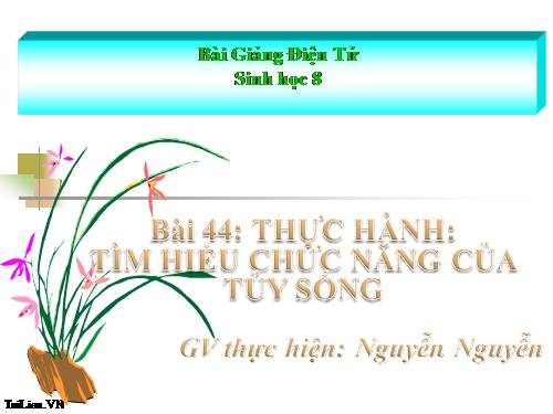 Bài 44. Thực hành: Tìm hiểu về hệ chức năng (liên quan đến cấu tạo) của tủy sống