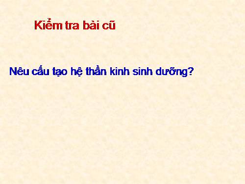 Bài 49. Cơ quan phân tích thị giác