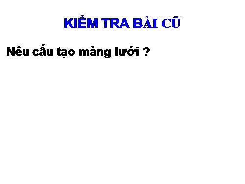 Bài 50 Vệ sinh mắt