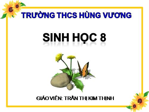 Bài 51. Cơ quan phân tích thính giác