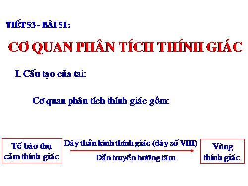 Bài 51. Cơ quan phân tích thính giác