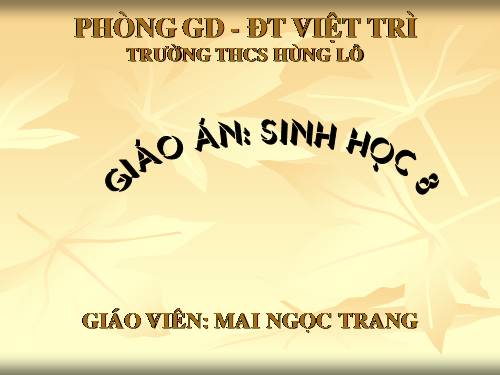 Bài 51. Cơ quan phân tích thính giác