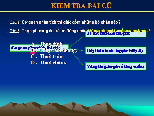 Bài 51. Cơ quan phân tích thính giác