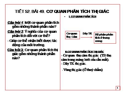 Bài 49. Cơ quan phân tích thị giác