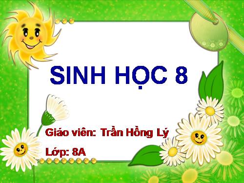 Bài 39. Bài tiết nước tiểu