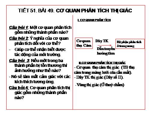 Bài 49. Cơ quan phân tích thị giác