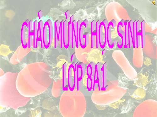 Bài 21. Hoạt động hô hấp