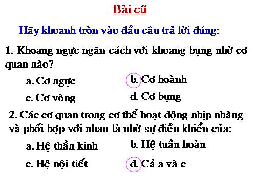 Bài 3. Tế bào