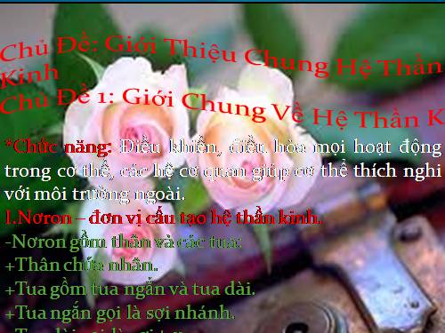 Bài 43. Giới thiệu chung hệ thần kinh